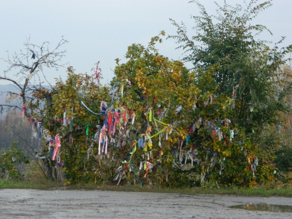 image015.jpg